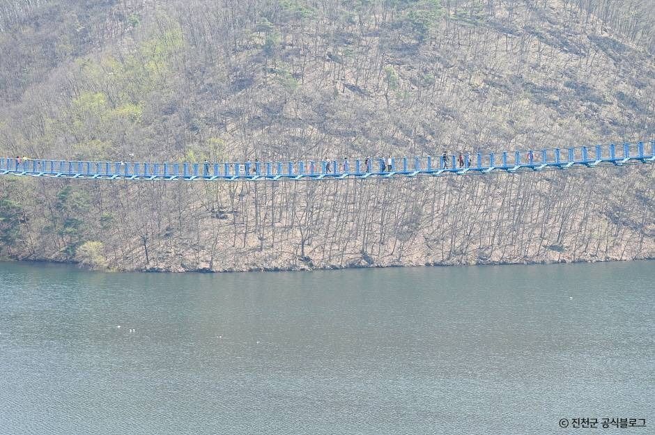 초평호 미르309 출렁다리 이미지 3