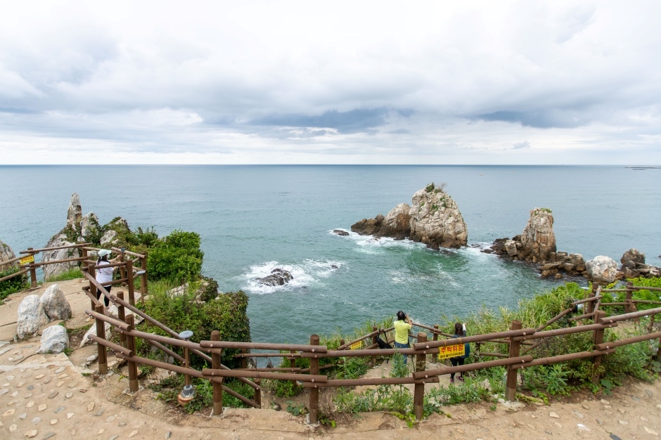 삼척 초곡용굴 촛대바위길 이미지 8