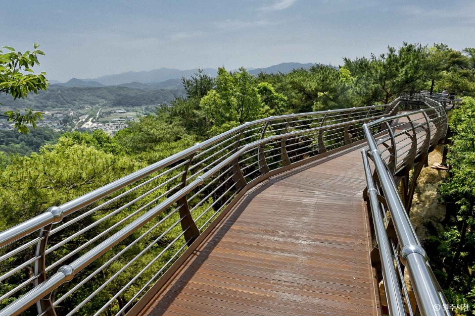 원주 소금산 출렁다리 이미지 6