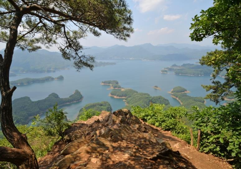 충주 악어봉 전망대 이미지 1