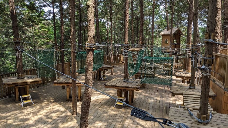 고성 공룡박물관 이미지 9