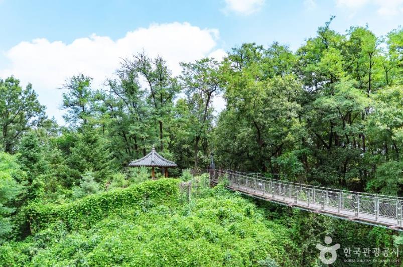 도덕산 출렁다리 이미지 6