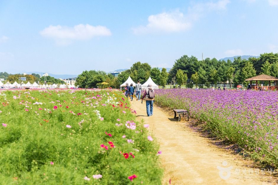 양주 나리농원 이미지 5