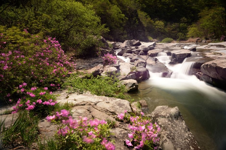 거창 월성계곡 이미지 1