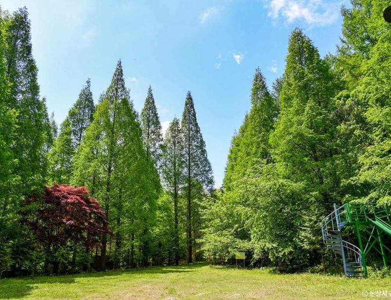 논산 온빛자연휴양림 이미지 4