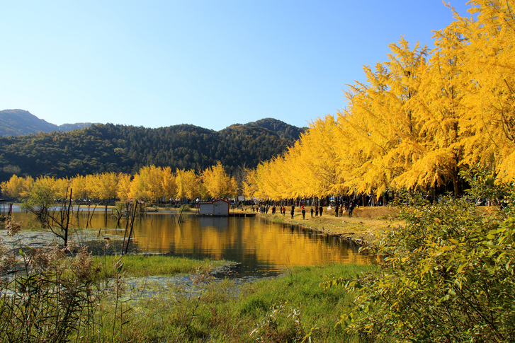 괴산 문광저수지 이미지 1