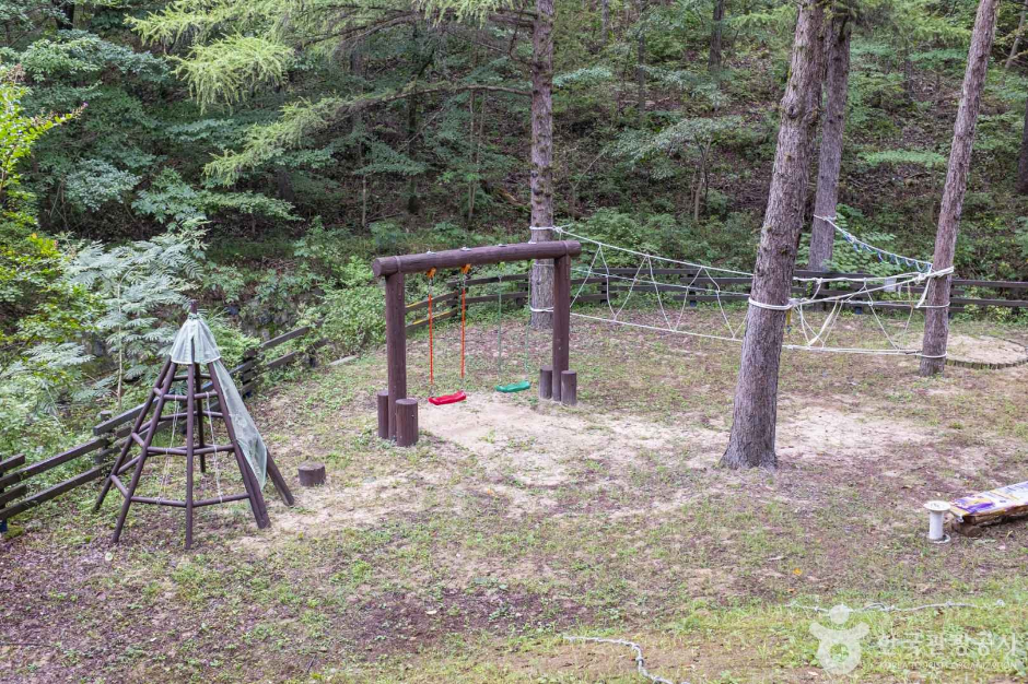 청송 자연휴양림 이미지 7