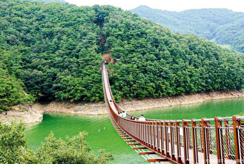 제천 옥순봉 출렁다리 이미지 5