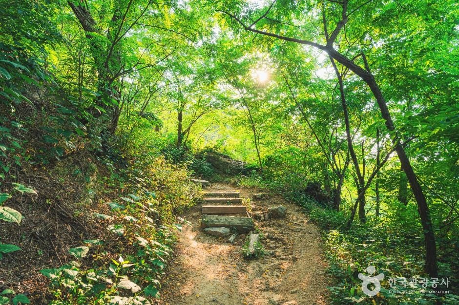 서울 서대문 안산_안산자락길 이미지 5