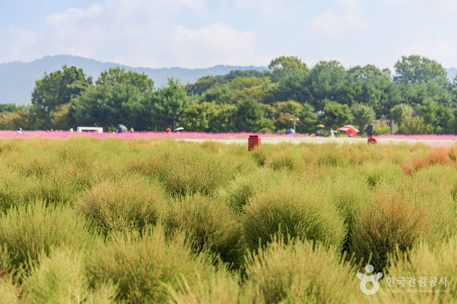 양주 나리농원 이미지 4