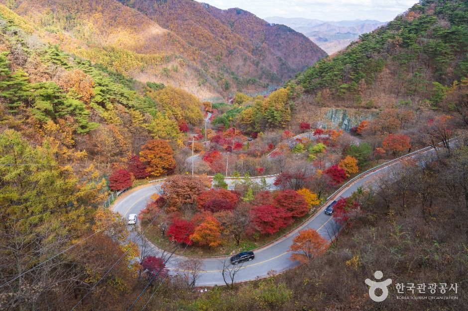 단양 보발재 이미지 3