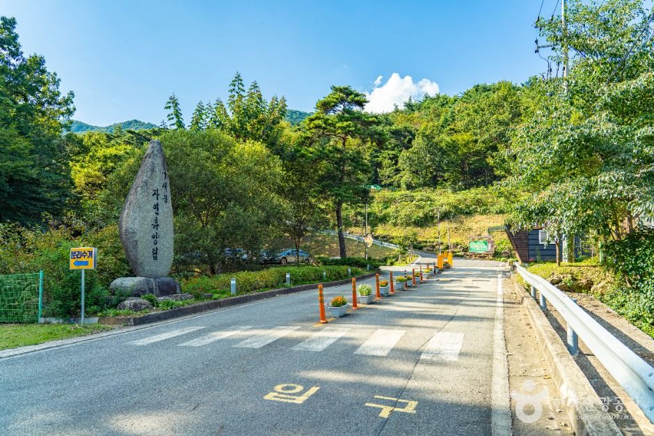 하동 구재봉자연휴양림 이미지 6