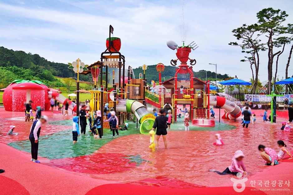 논산 딸기향농촌테마공원 이미지 5