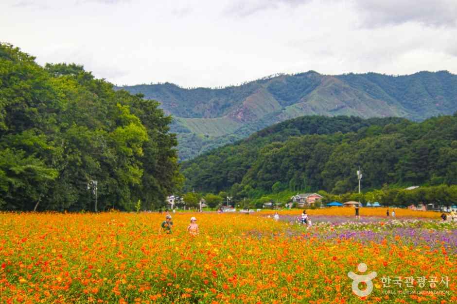 경남 함양 상림공원_천년의 숲 이미지 8