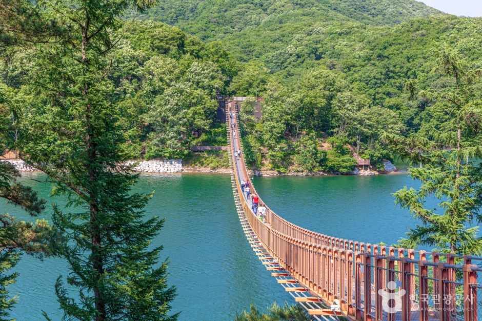 마장호수 출렁다리 이미지 3