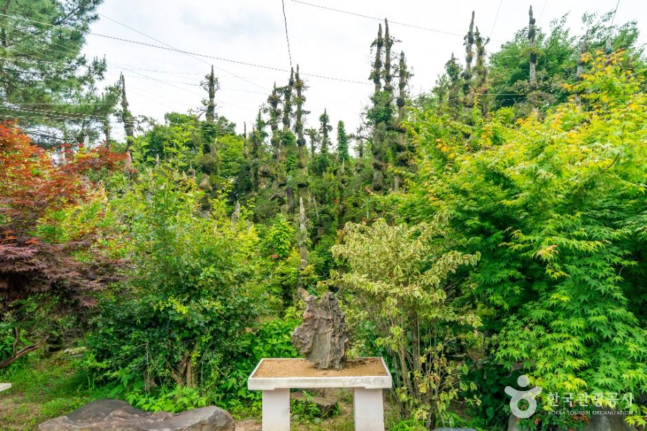 거제 자연예술랜드 이미지 9