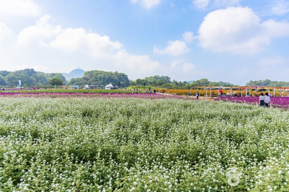 양주 나리농원 이미지 6