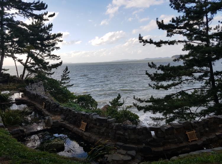 보령 상화원 [섬 전체가 정원] 이미지 4