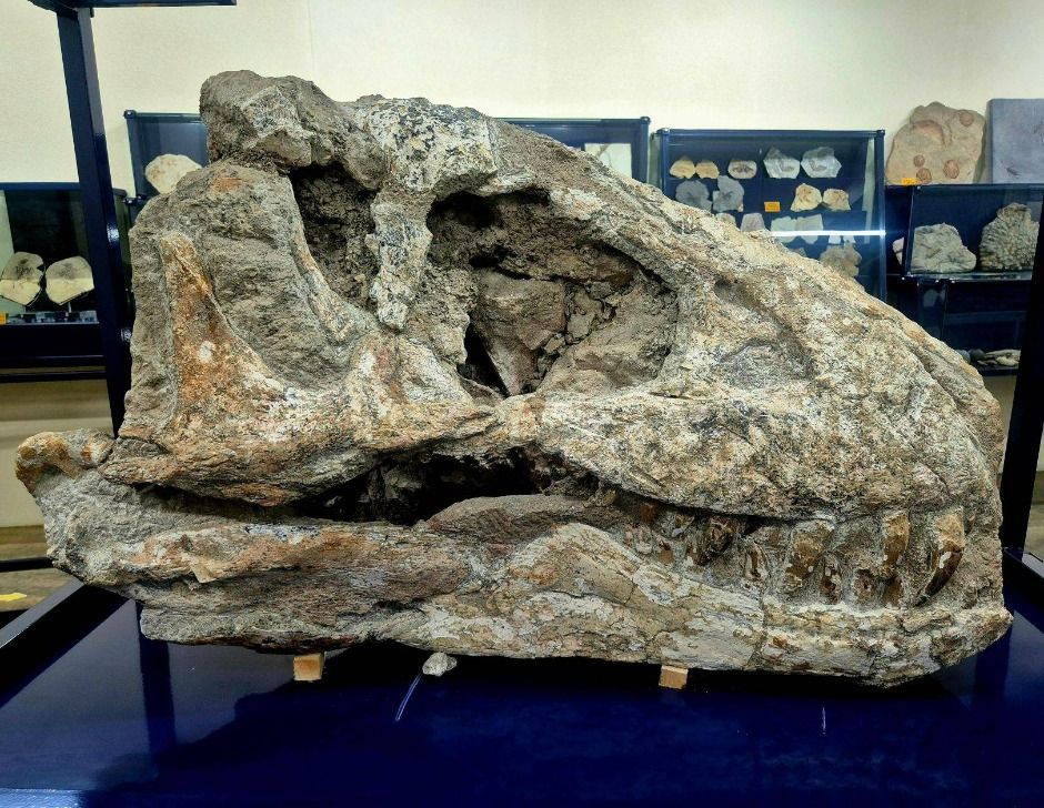 예술정원1999 자연예술테마파크 이미지 7