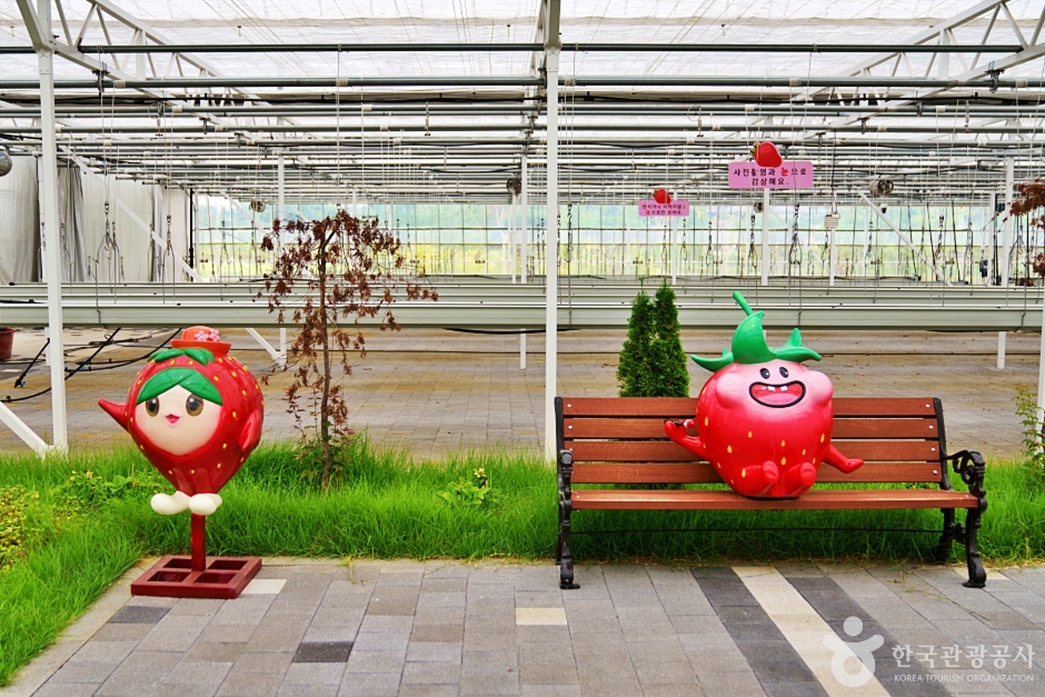 논산 딸기향농촌테마공원 이미지 4