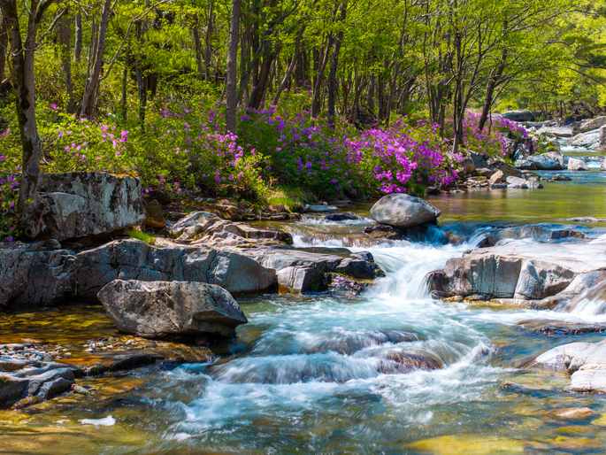 거창 월성계곡 이미지 4