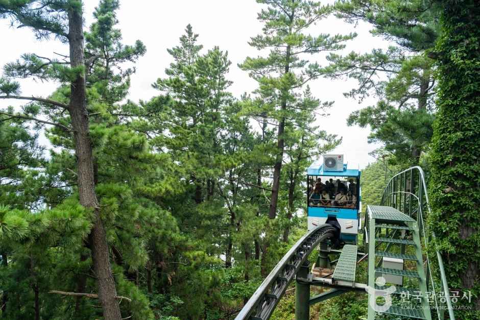 아름다운 신비의 섬, 울릉도 이미지 4