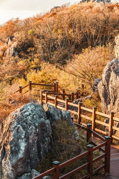 거제 노자산 이미지 3