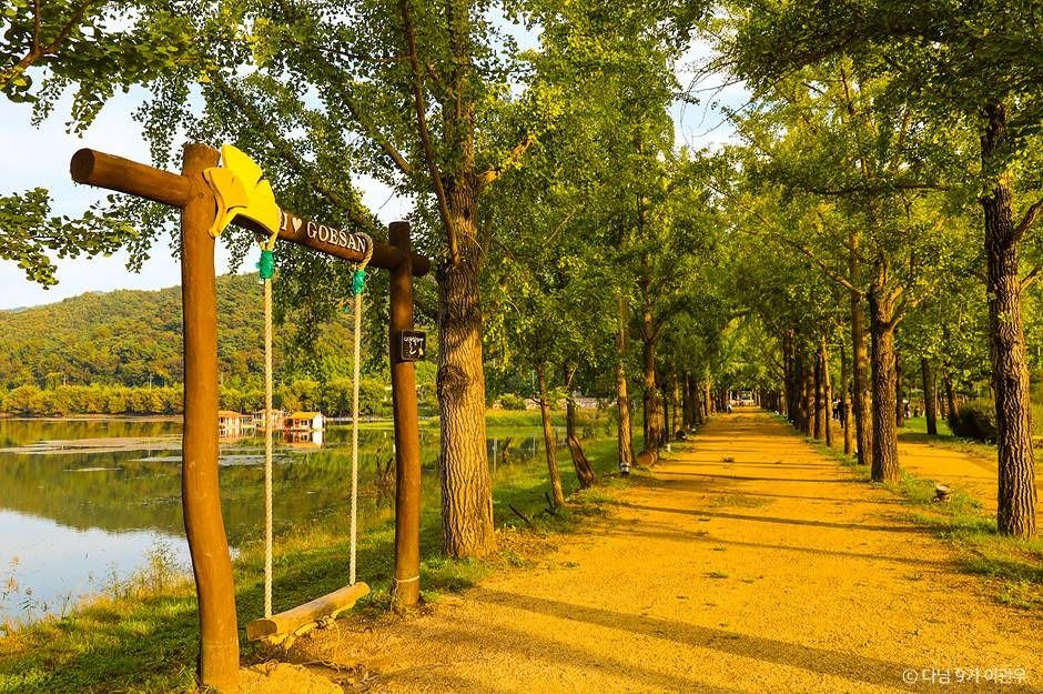 괴산 문광저수지 이미지 6