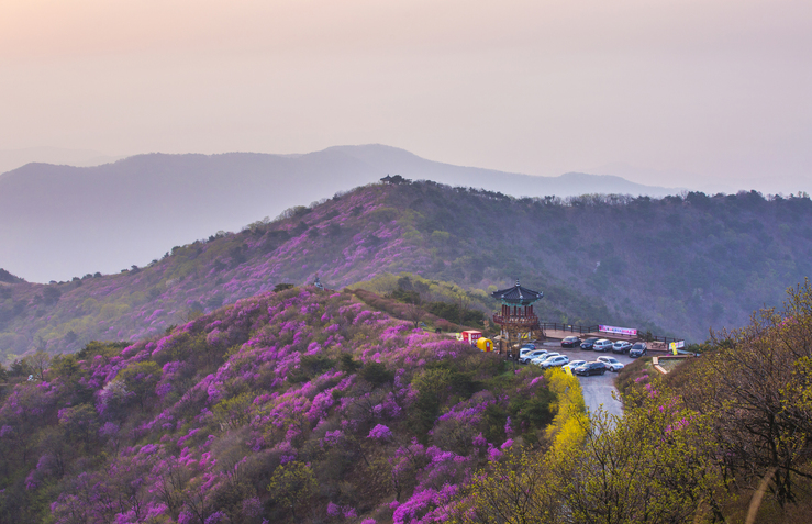 의령 한우산 하늘전망대 이미지 2