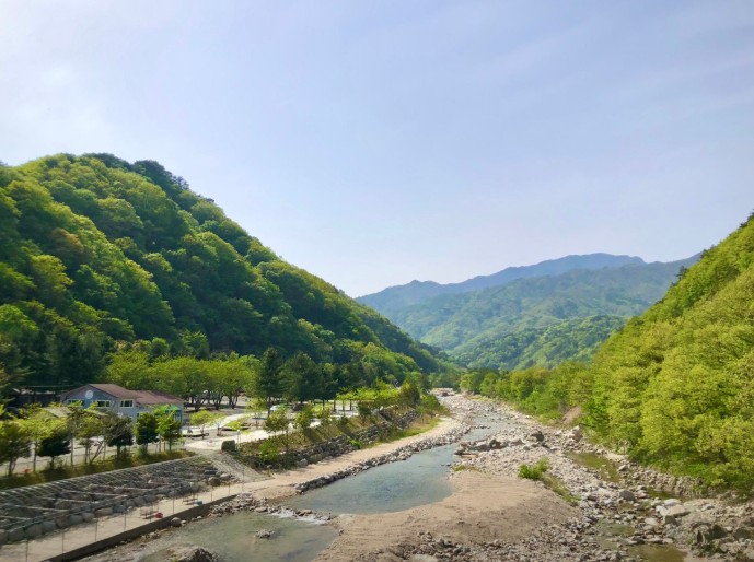 오색허브농원 이미지 5