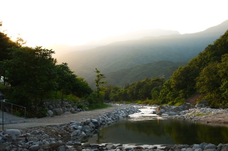 오색허브농원 이미지 8